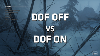 Tomb Raider DOF ON vs OFF