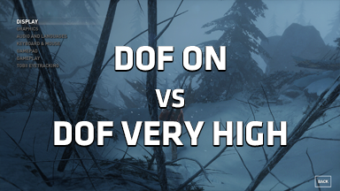 Tomb Raider DOF ON vs VERY HIGH