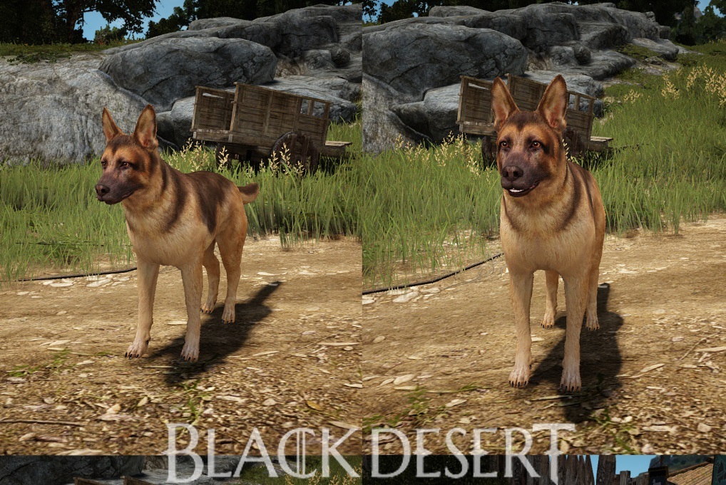 testy-beta-sieciowego-black-desert-online-startuj-16-grudnia-144870325249