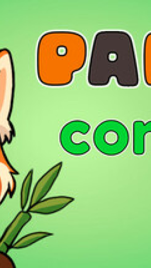 Okładka - Pandas Contrast