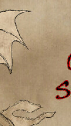 Okładka - Opus Scriba