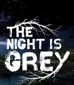Okładka - The Night is Grey