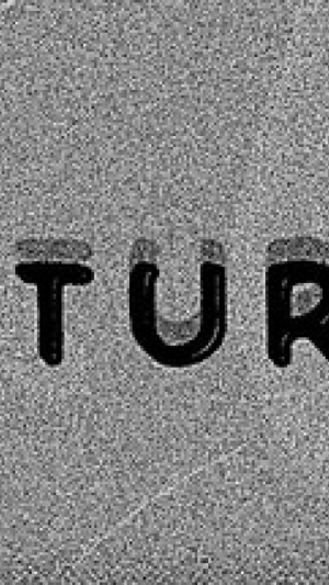 Okładka - Nocturnal