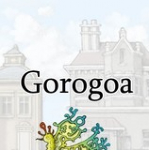 Okładka - Gorogoa