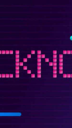 Okładka - Bricknosis