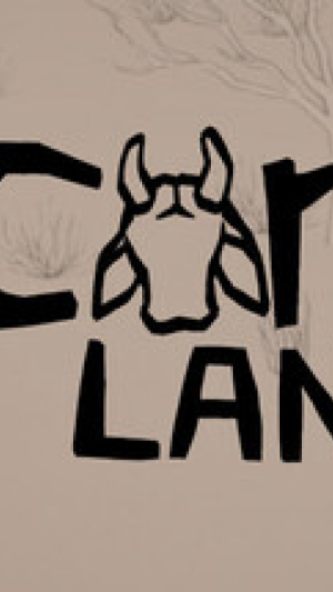 Okładka - Cordel Lands