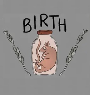Okładka - Birth