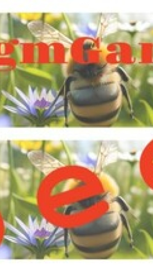 Okładka - hgmGame-bee