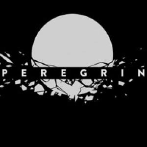Okładka - Peregrin