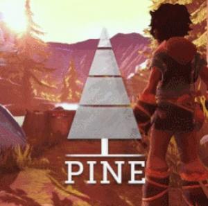 Okładka - Pine