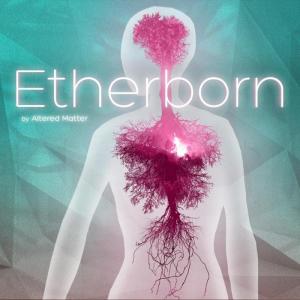Okładka - Etherborn