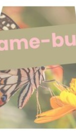 Okładka - hgmGame-butterfly