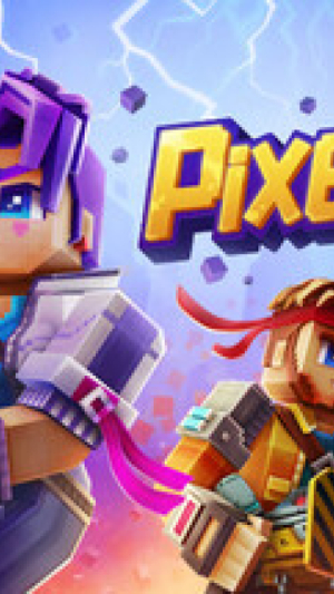 Okładka - Pixel Gun 2