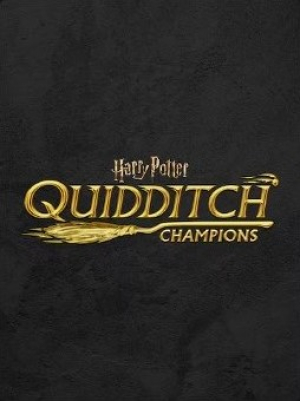 Okładka - Harry Potter Mistrzowie Quidditcha