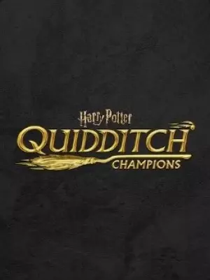 Harry Potter Mistrzowie Quidditcha