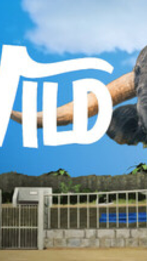 Okładka - Bull Gone Wild