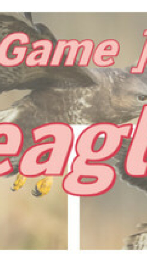 Okładka - hgmGame-eagle