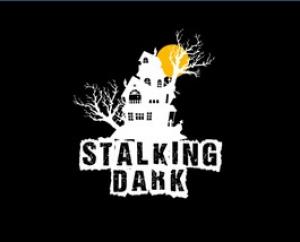 Okładka - Stalking Dark