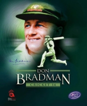 Okładka - Don Bradman Cricket 14