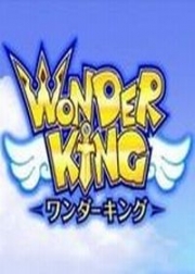 Okładka - WonderKing Online