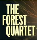 Okładka - The Forest Quartet