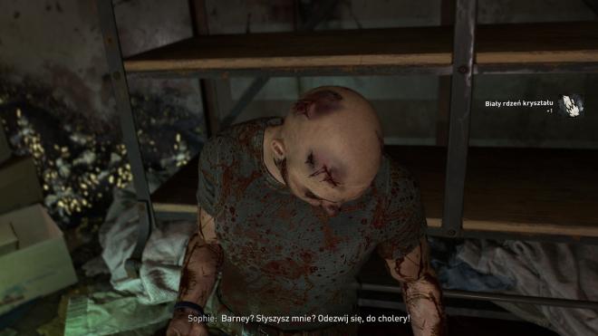 niesforny brat dying light 2 stay human