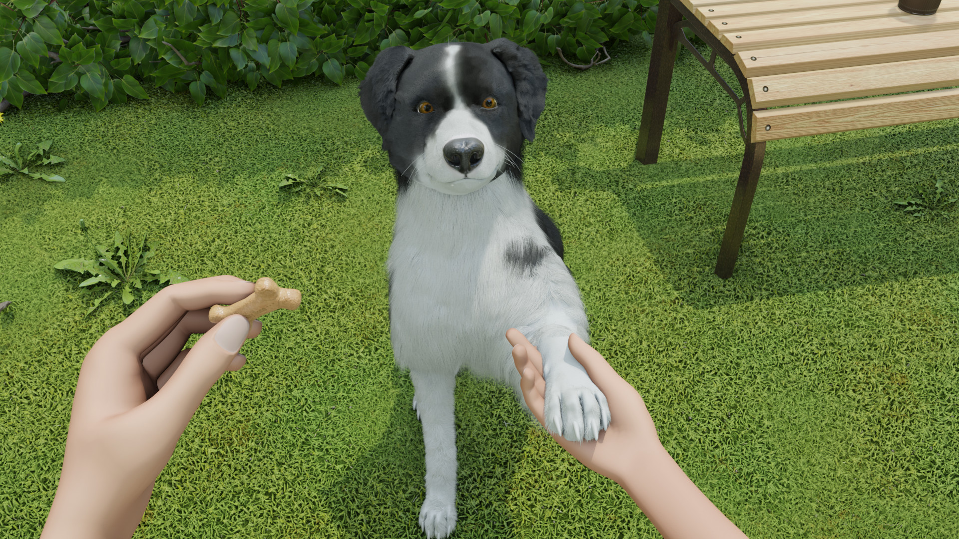 Dog Trainer w gronie gier Top Wishlist (Top Listy życzeń) na Steamie