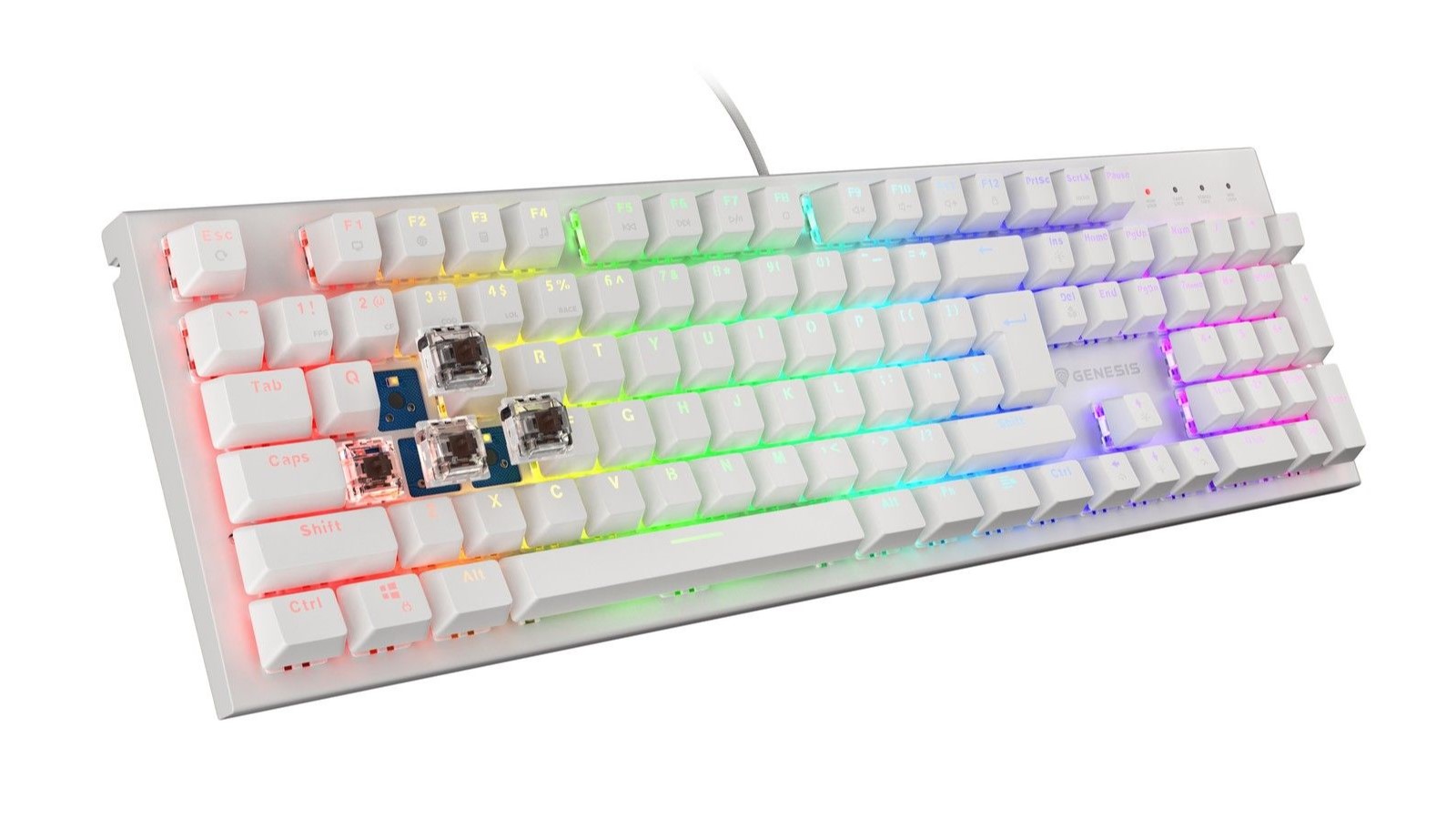 Mechaniczna klawiatura Genesis Thor 303 RGB (TKL) oficjalnie debiutuje na rynku