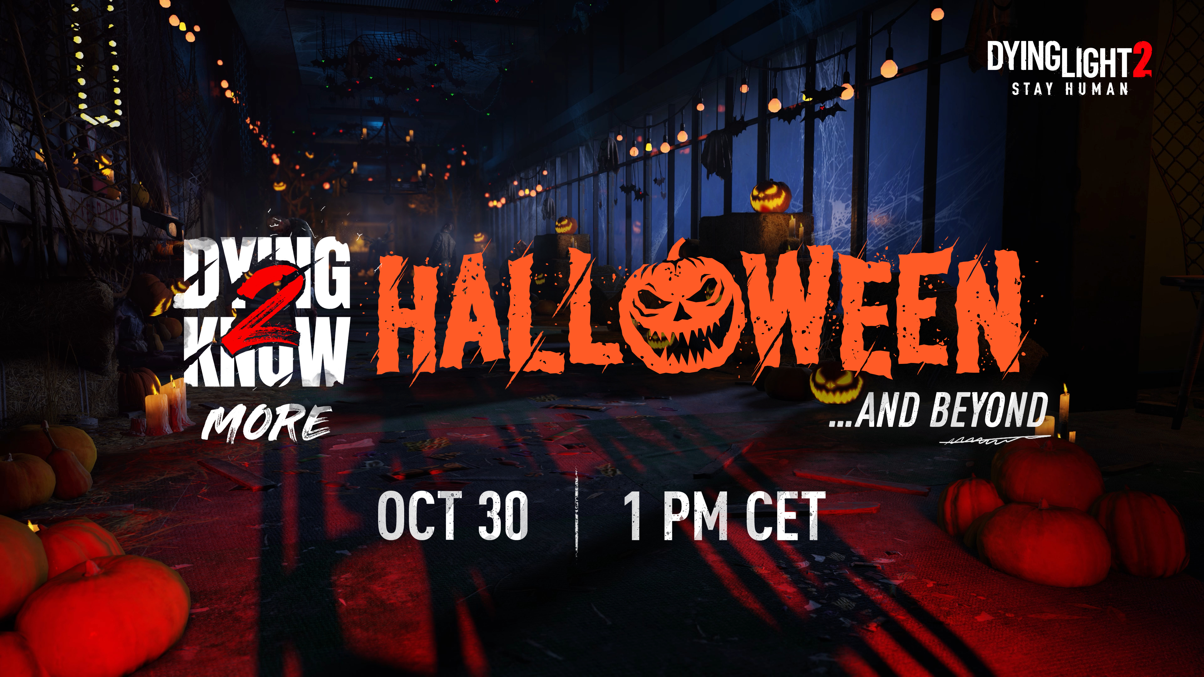 🎃 Gotowi na mrożące krew w żyłach Halloween? 🎃