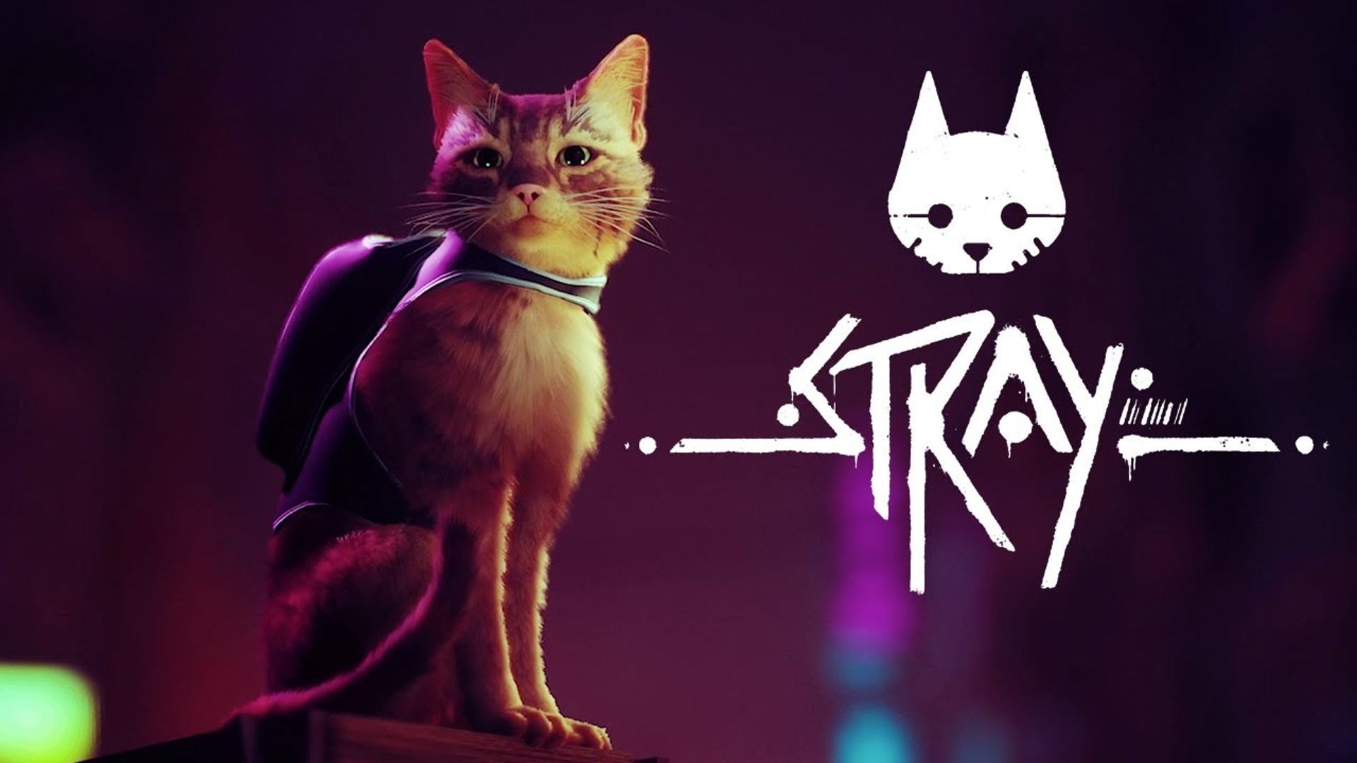 Stray przygodówka o kocie ma już datę premiery. Ruszyła sprzedaż przedpremierowa gry!