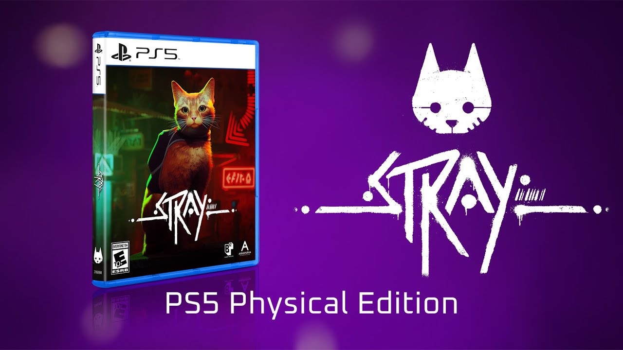 Stray, przygodówka o samotnym kocie będzie dostępna w wersji pudełkowej na PlayStation 5