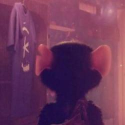 A Rat's Quest, czyli szczur też może mieć wiele świetnych przygód