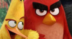 Kolejny świetny zwiastun filmowego Angry Birds