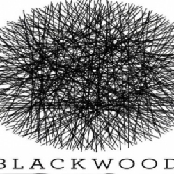 Blackwood Crossing - recenzja