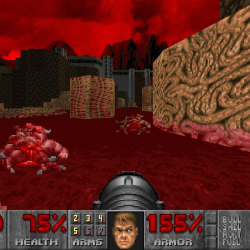 Doom w Pliku PDF