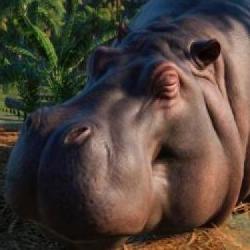 E3 2019 - Planet Zoo stawia na nowoczesne zoo