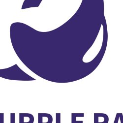 Koshmar: The Last Reverie â€“ polskie studio Purple Ray zapowiada nowÄ… grÄ™