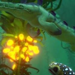 Krótkie Info - Subnautica w pudełku, zapowiedziano RAILGRADE i Isolationist Nightclub Simulator, Chicory: A Colorful Tale z demkiem