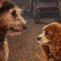 Lady and Tramp, remake animacji Disneya na oficjalnym zwiastunie