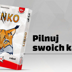 Linko – dynamiczna gra karciana z elementami strategicznej rywalizacji