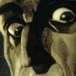Nosferatu, remake filmu grozy Nosferatu - symfonia grozy z nowymi informacjami. Co wiemy?