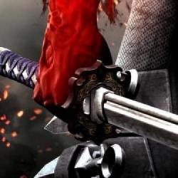 Nowy Ninja Gaiden poznamy w 2019 roku? Koei Tecmo szykuje zapowiedź!