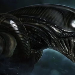 Alien (Obcy), zdjęcia do nowego serialu Noaha Hawleya mają rozpocząć się w tym roku. Tak twierdzi szef FX Networks