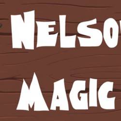 Przygodówka Nelson and the Magic Cauldron wystartowała na Kickstarterze