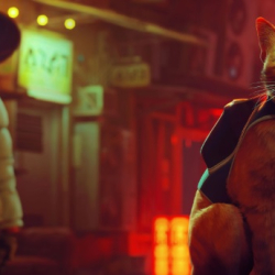 Stray, przygodówka o kocie będzie miała swój pełnometrażowy film animowany od studia Annapurna Animation