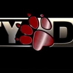 Stray's Cross nowym IP od Naughty Dog i Sony? Plotki w sieci...