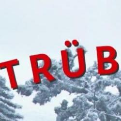 Truberbrook ma już swoją kartę na platformie Steam