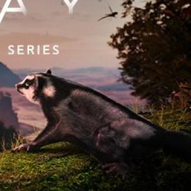 AWAY: The Survival Series, gra mieszająca gatunki, survivalowa z datą premiery i nowym zwiastunem