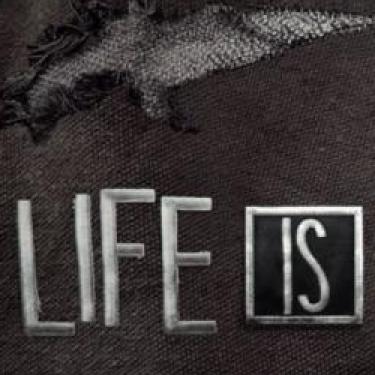Life is Strange 2: Rules zadebiutuje już dziś. Jest zwiastun filmowy