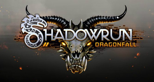 shadow_run